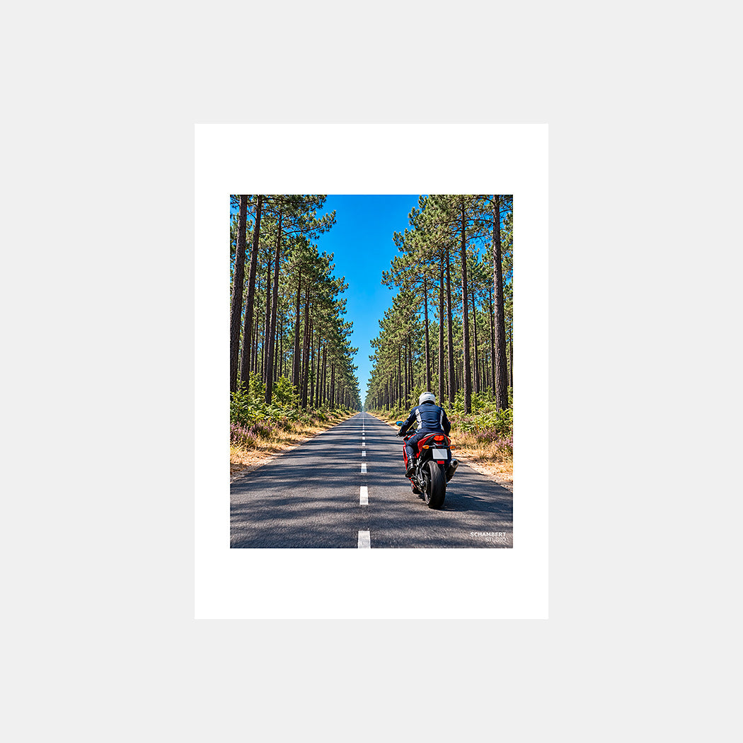 Landes | Affiche moto La ligne claire Nouvelle-Aquitaine - Design sans légende.