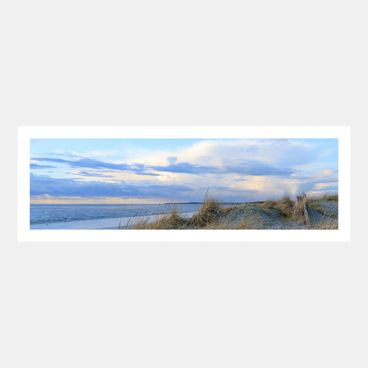 Photographie panoramique des dunes plantées d'oyats avec la baie de Somme à marée basse au couchant, Baie de Somme, Côte Picarde, Somme, Hauts-de-France, France.