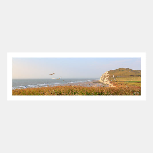 Poster photo 1735 Le Cap Blanc-Nez avec mouettes en vol et ferry