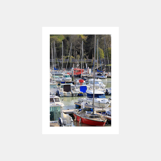 Photographie des bateaux de plaisance dans le bassin du port de Saint-Valery-en-Caux au printemps, Côte d'Albâtre, Seine-Maritime, Normandie, France.