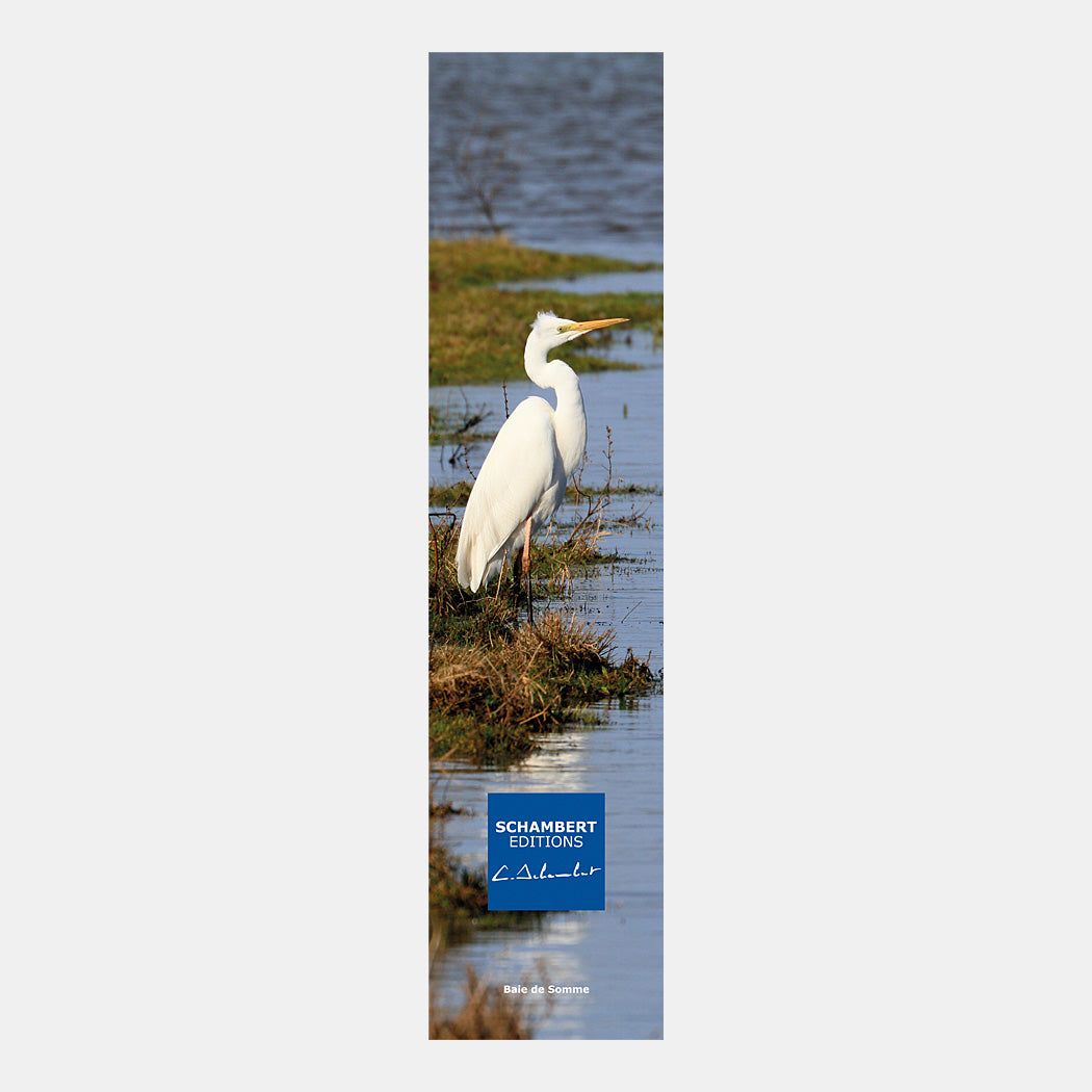 Marque-page PN101 Aigrette dans un étang de la baie de Somme Recto